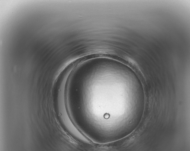 X0000061721019200512091955