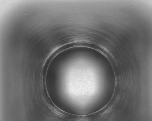 X0000061721021200512091955