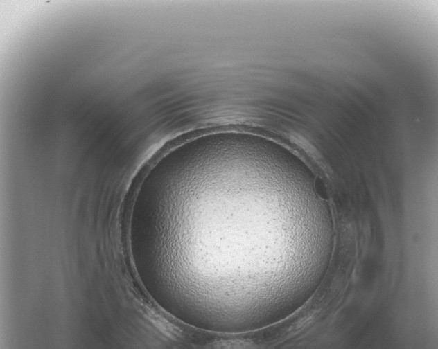 X0000061721023200512091955