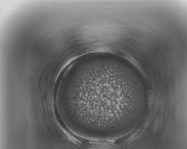 X0000061721024200512091955