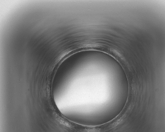 X0000061721025200512091955