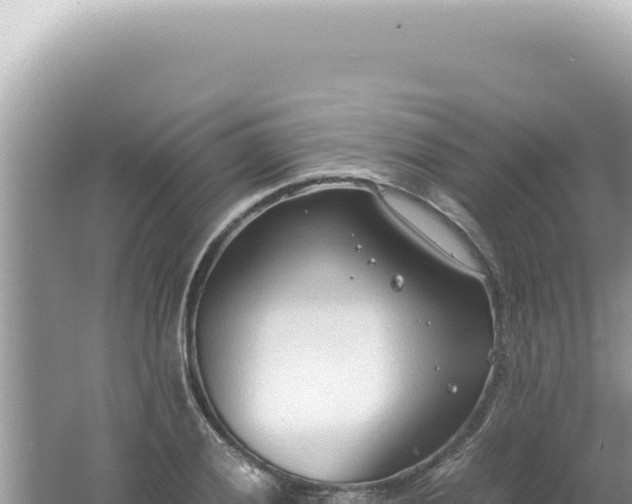 X0000061721028200512091955