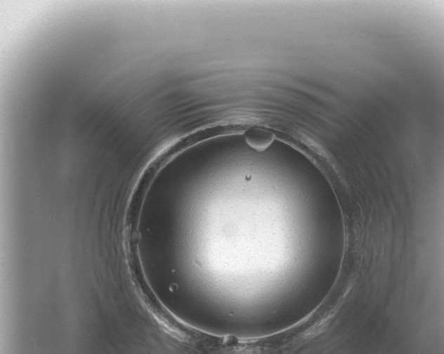 X0000061721029200512091955