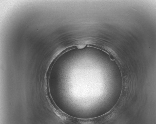 X0000061721031200512091955