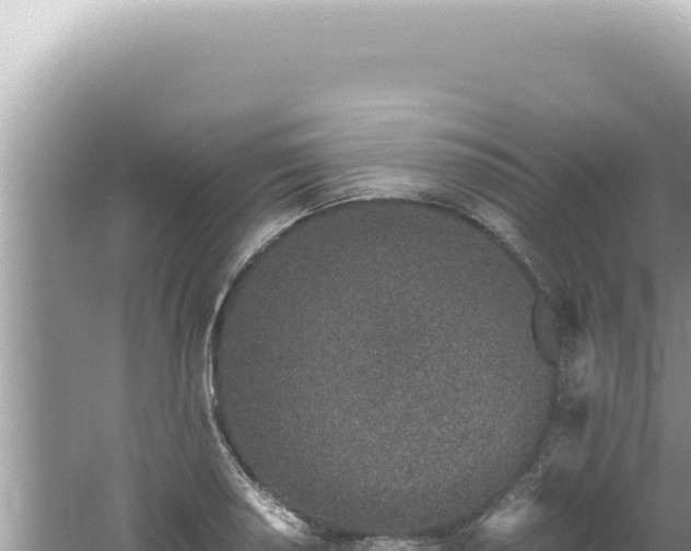 X0000061721034200512091955