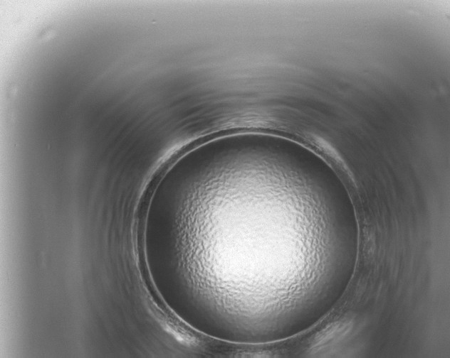 X0000061721035200512091955