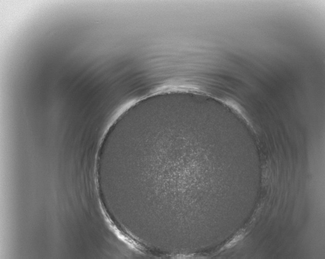 X0000061721038200512091955