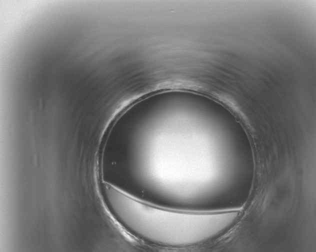 X0000061721040200512091955