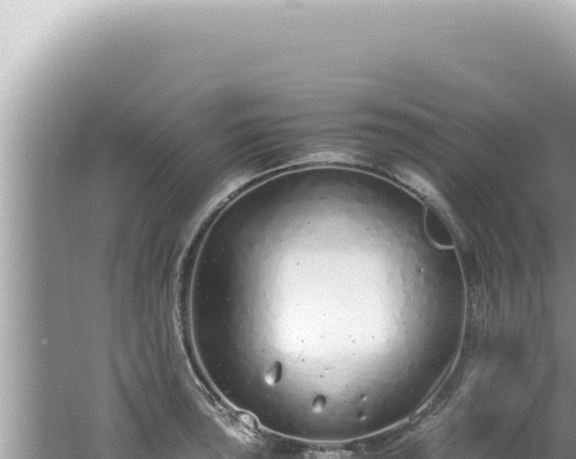 X0000061721043200512091955