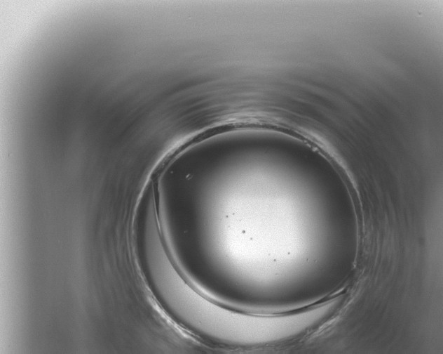 X0000061721045200512091955