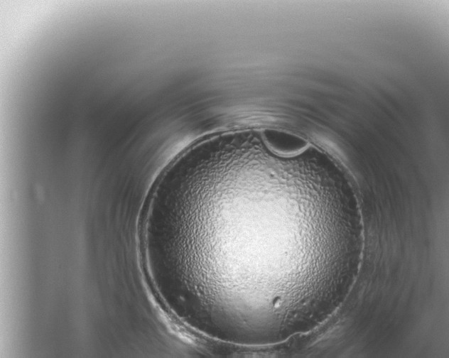 X0000061721047200512091955