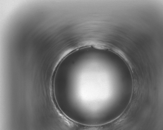 X0000061721048200512091955