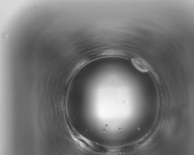 X0000061721049200512091955