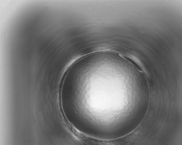 X0000061721051200512091955