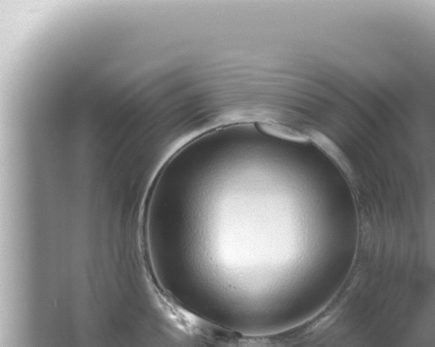 X0000061721052200512091955