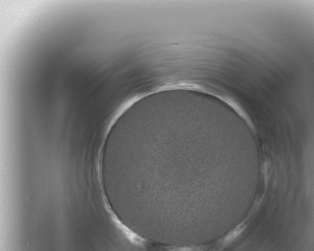 X0000061721054200512091955