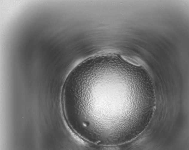 X0000061721055200512091955