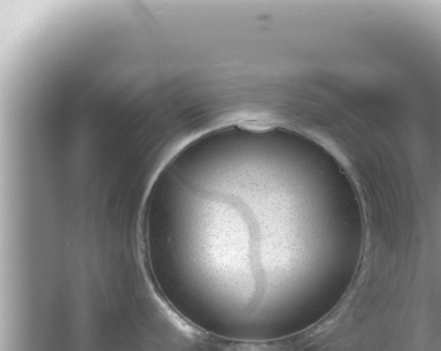 X0000061721056200512091955