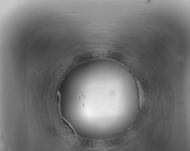 X0000061721057200512091954