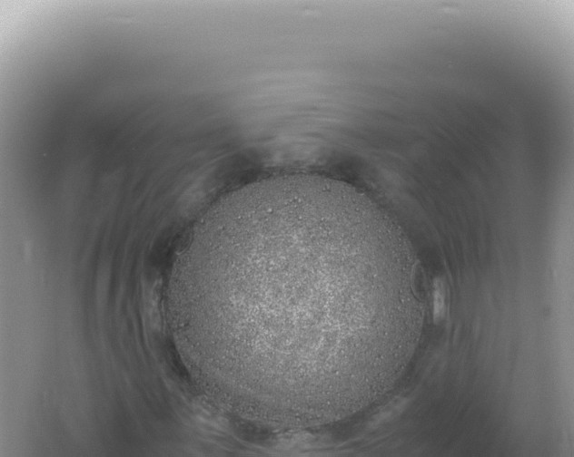 X0000061721059200512091954