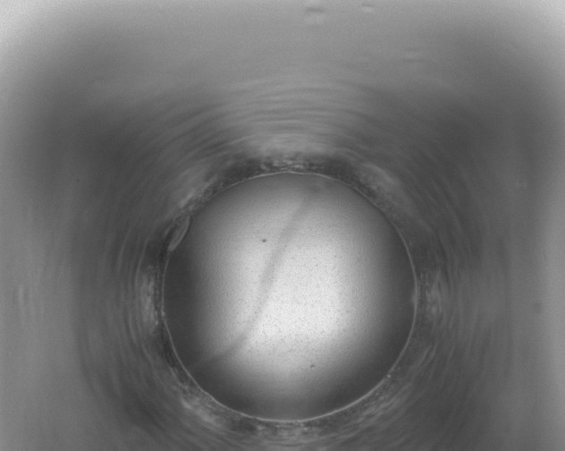 X0000061721060200512091954