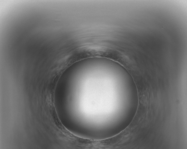 X0000061721061200512091954