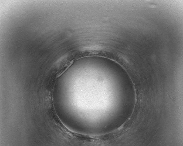 X0000061721062200512091954