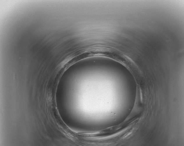 X0000061721065200512091954