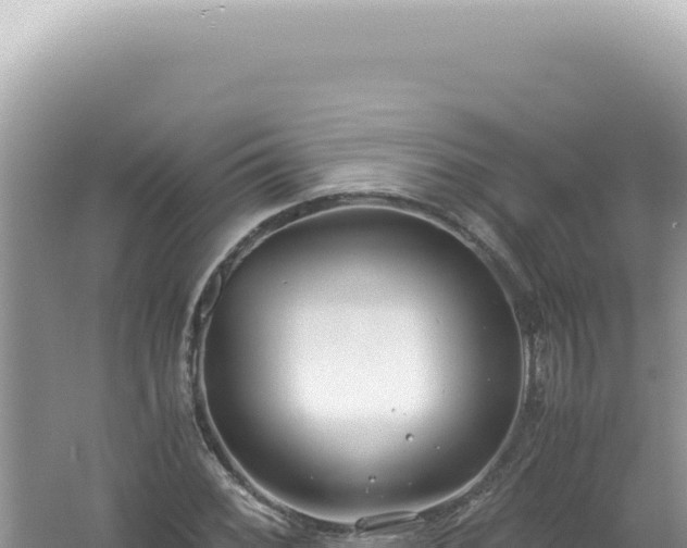 X0000061721068200512091954