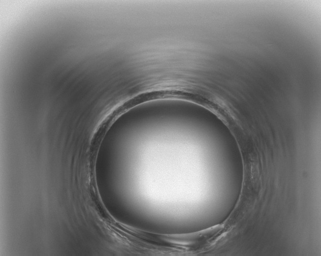 X0000061721069200512091954