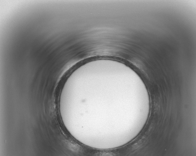 X0000061721070200512091954