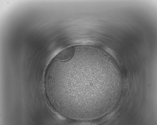 X0000061721071200512091954