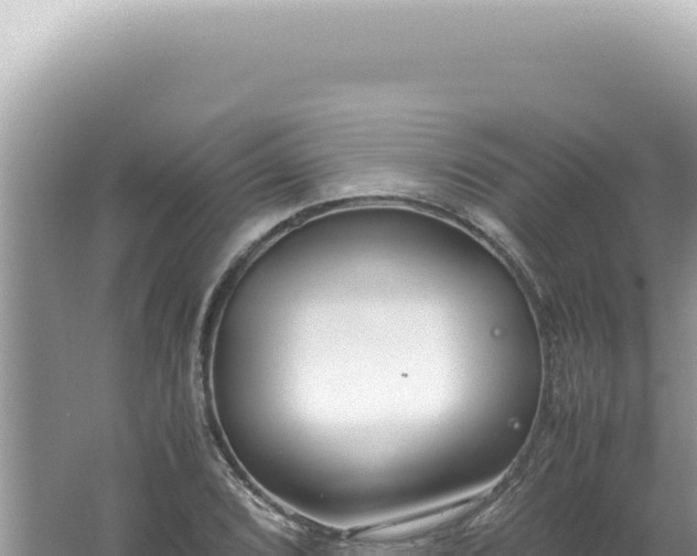 X0000061721072200512091954