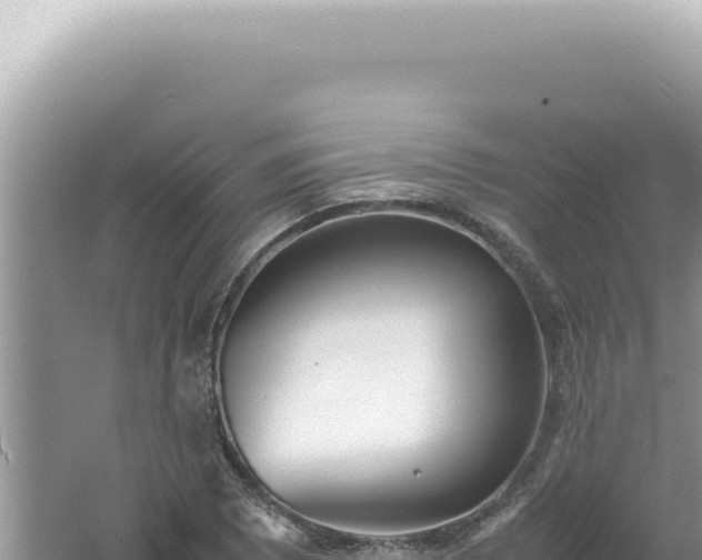 X0000061721073200512091954