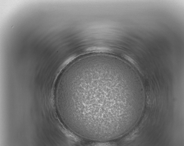 X0000061721074200512091954