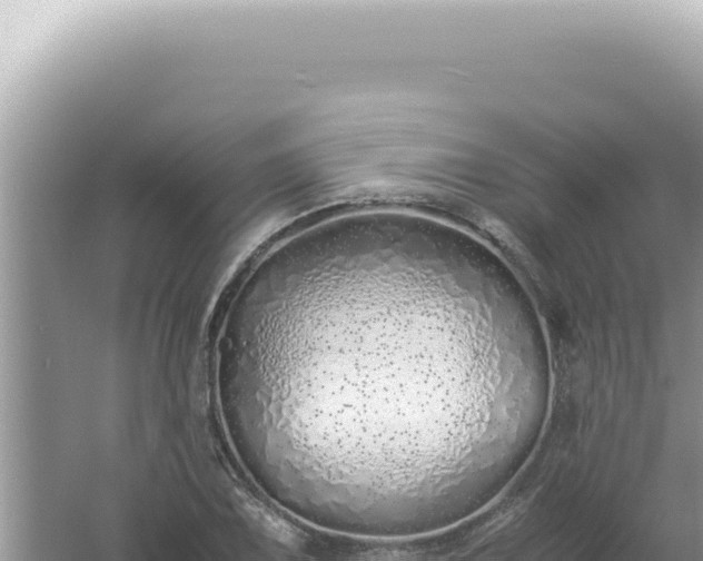 X0000061721075200512091954