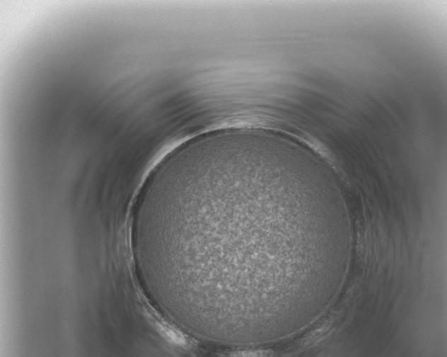 X0000061721078200512091954