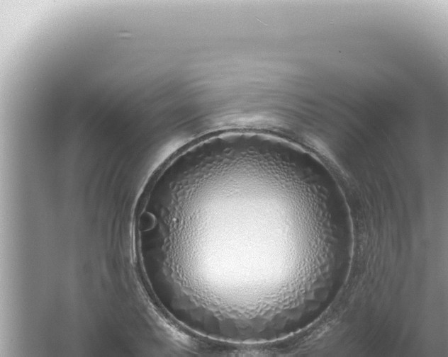 X0000061721079200512091954