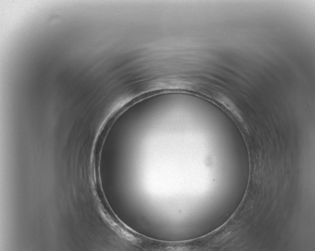 X0000061721080200512091954