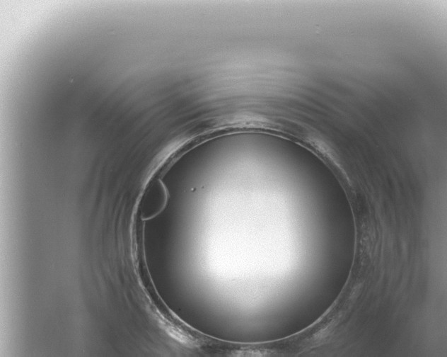 X0000061721082200512091954