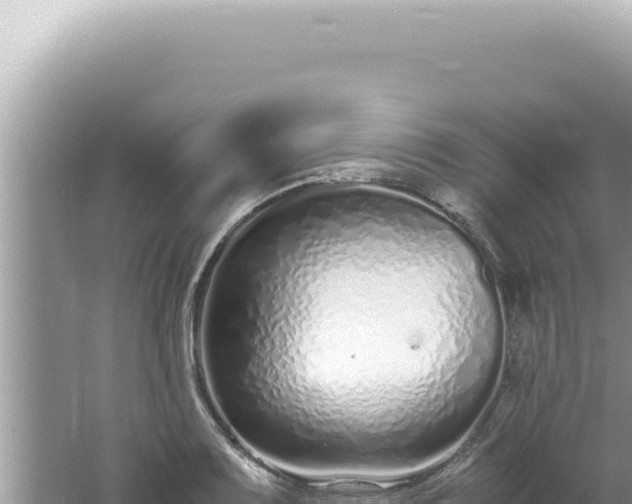 X0000061721083200512091954