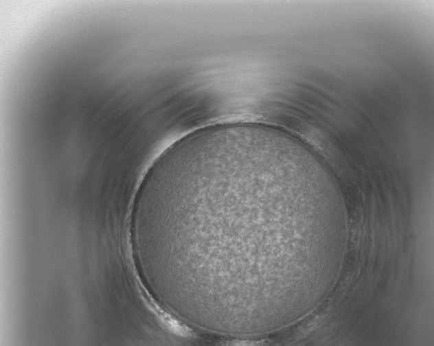 X0000061721086200512091954