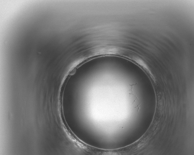 X0000061721088200512091954