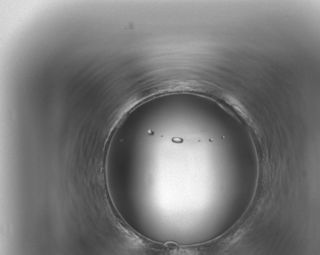 X0000061721089200512091954