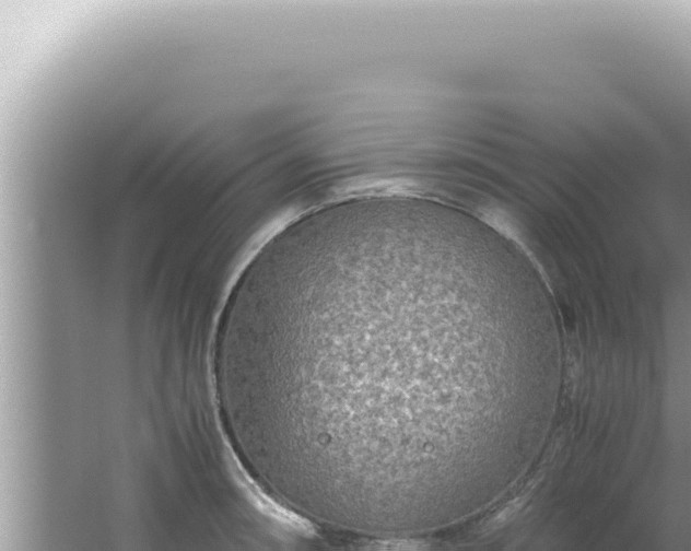 X0000061721090200512091954