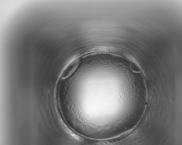 X0000061721091200512091954