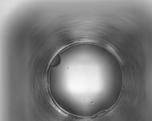 X0000061721092200512091954