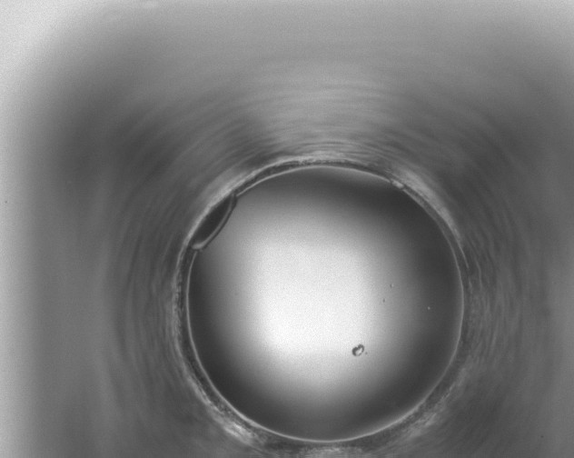 X0000061721093200512091954