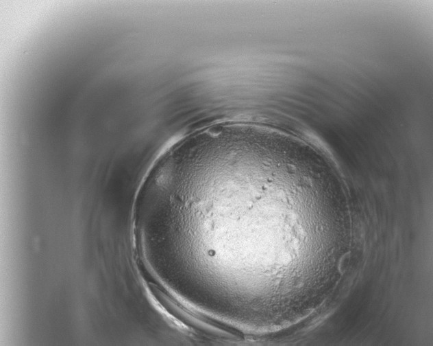 X0000061721095200512091954