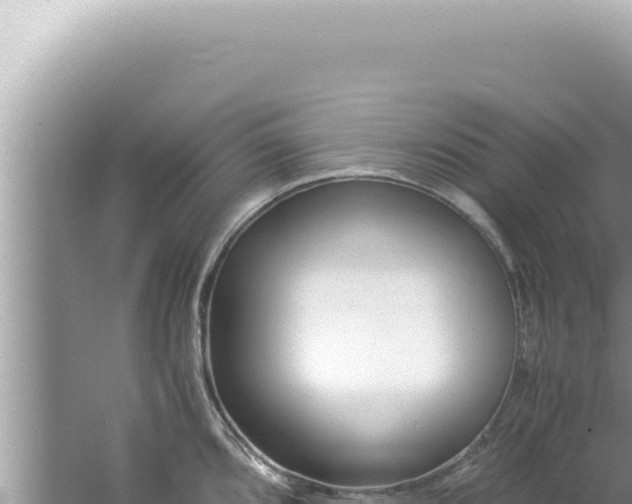 X0000061721096200512091954